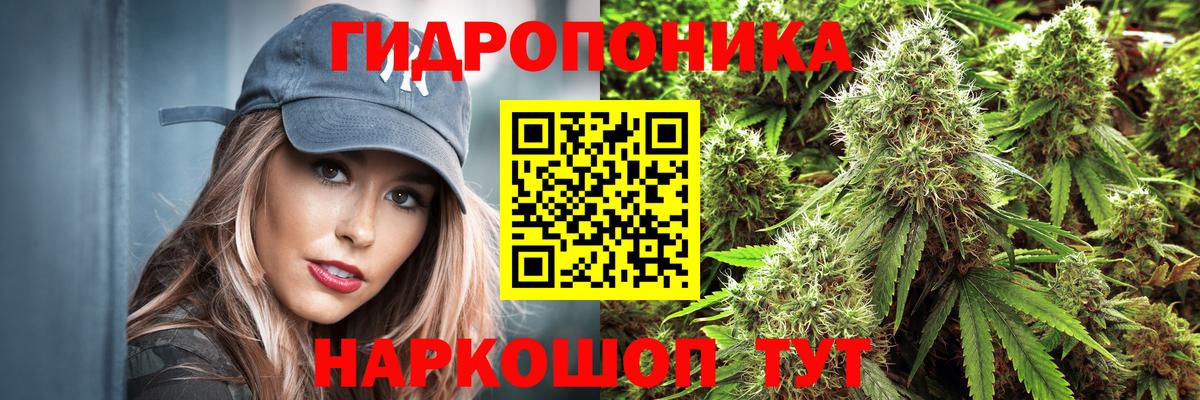 Бошки марихуана индика  Вход с VPN  МАРИХУАНА индика  Строитель  Марихуана гибрид 
